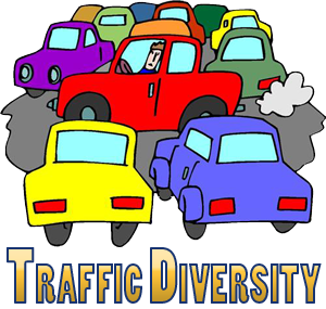 traffic diversity