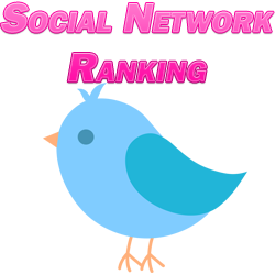 Social Network Ranking