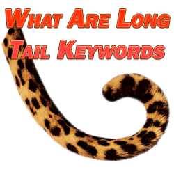 What Are Long Tail Keywords