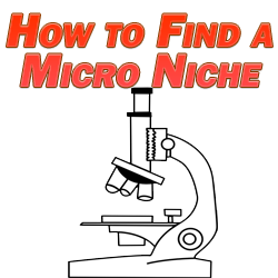 How to Find a Micro Niche