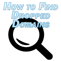 How to Find Dropped Domains