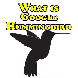 What is Google Hummingbird