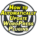 how to automatically update wordpress plugins