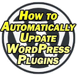 how to automatically update wordpress plugins