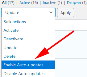 enable auto updates wordpress